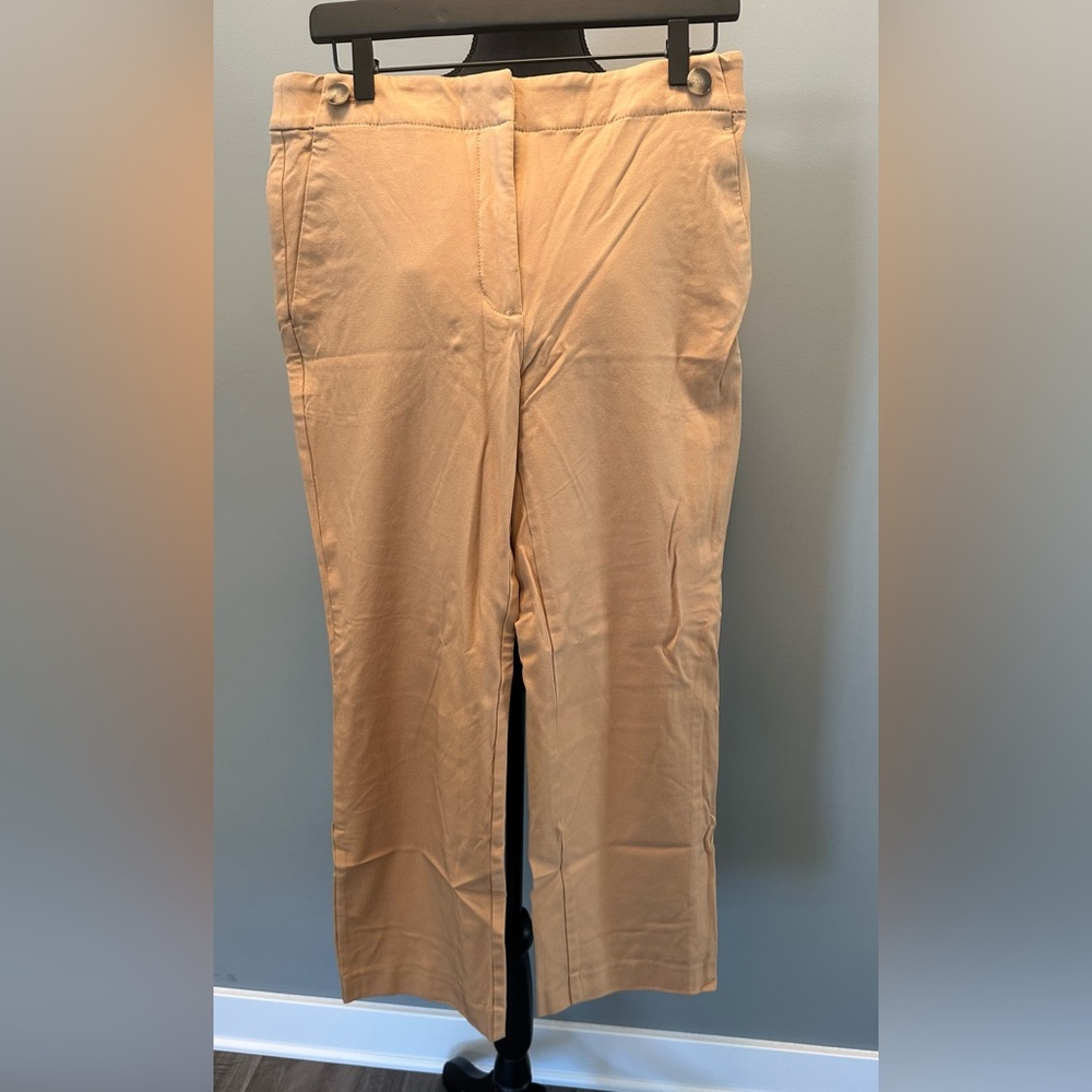 Ann Taylor Button Pencil Twill pants
